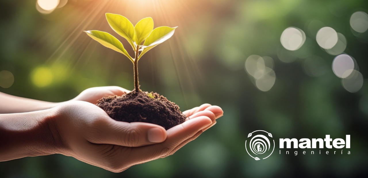 SOSTENIBILIDAD EMPRESARIAL